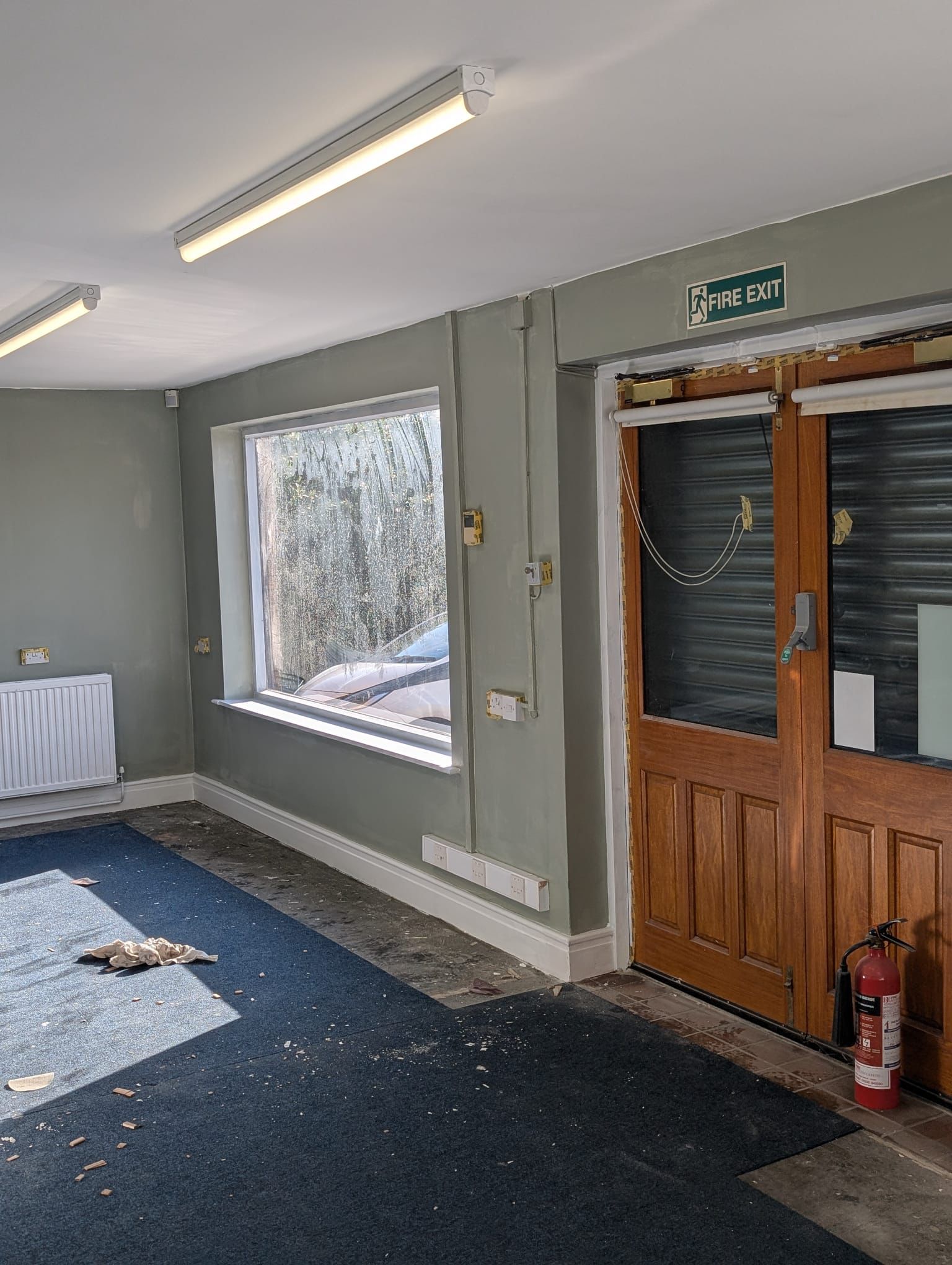 Commercial office freshly painted with sage green walls